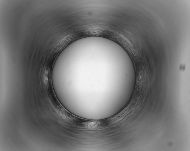 X0000099290122200805161334