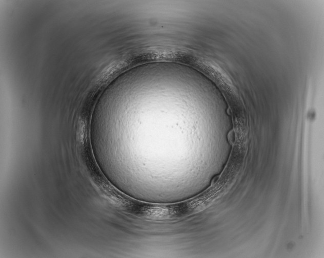 X0000099290123200805161334