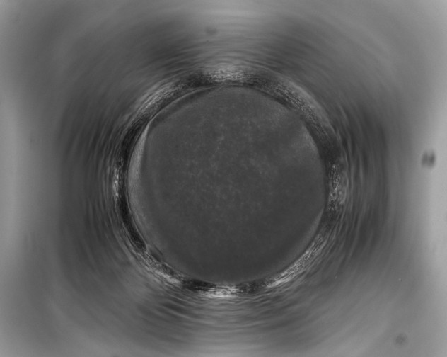 X0000099290124200805161334