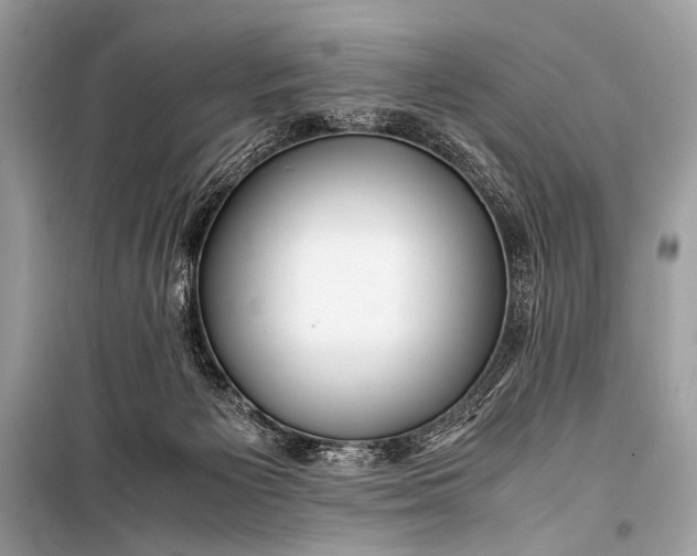 X0000099290125200805161334