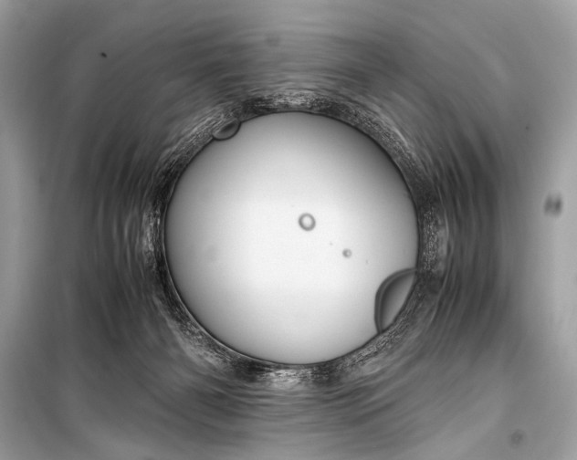 X0000099290126200805161334