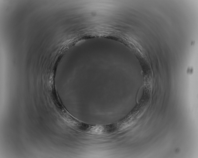 X0000099290127200805161334