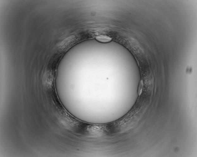 X0000099290129200805161334