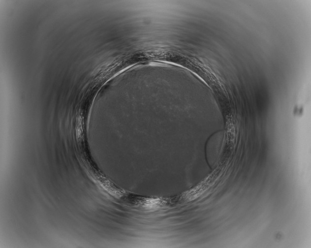 X0000099290130200805161334