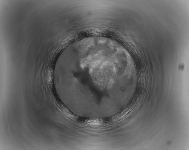 X0000099290131200805161334