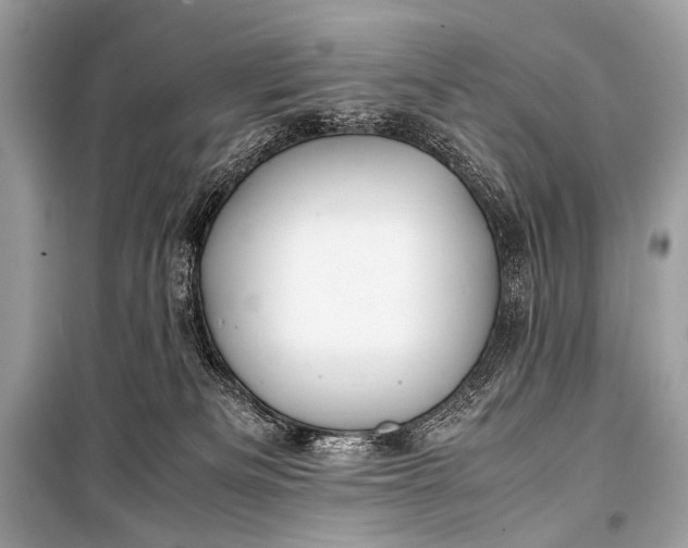 X0000099290133200805161334