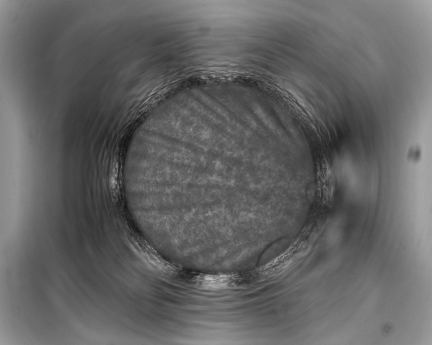 X0000099290134200805161334