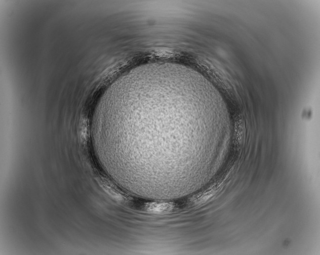 X0000099290135200805161334