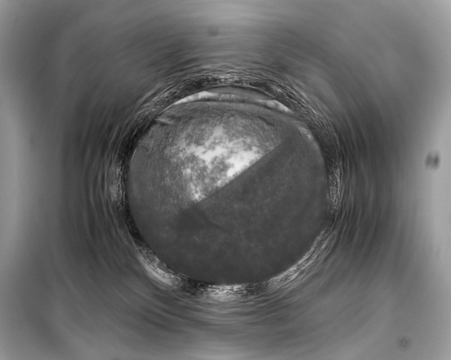 X0000099290136200805161334