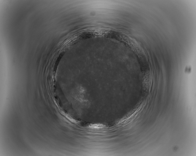 X0000099290137200805161334