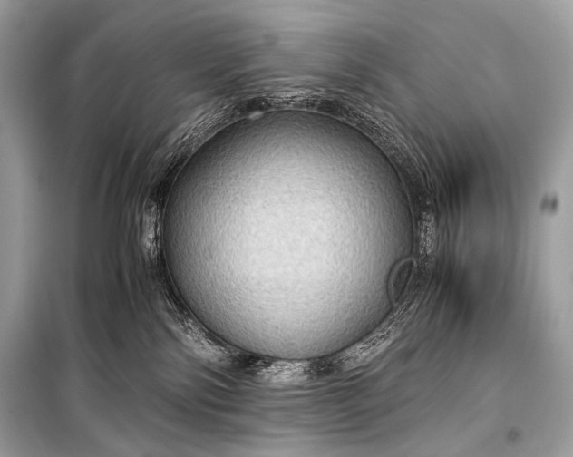 X0000099290138200805161334