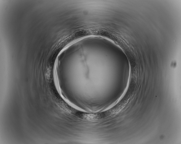 X0000099290139200805161334