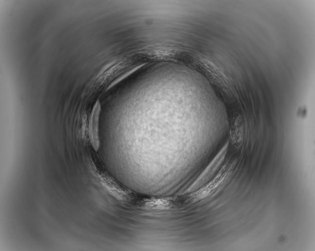 X0000099290140200805161334