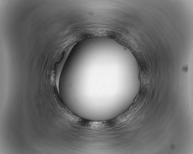 X0000099290141200805161334