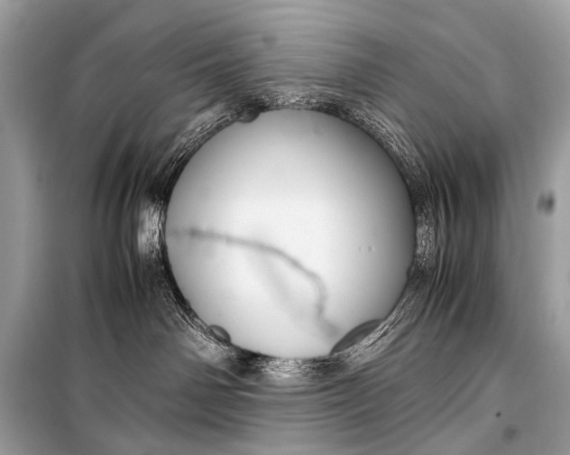 X0000099290142200805161334