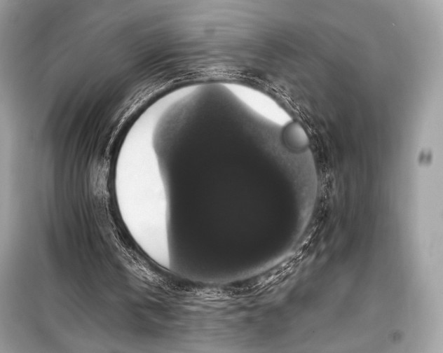 X0000099290146200805161333