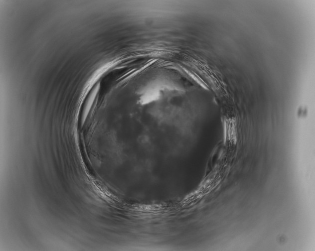 X0000099290147200805161333