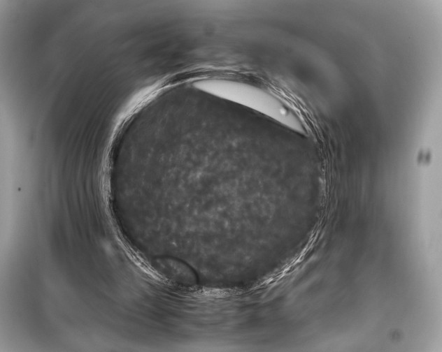 X0000099290149200805161333