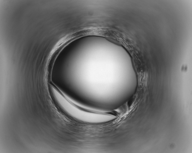 X0000099290150200805161333