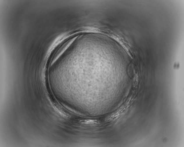 X0000099290151200805161333