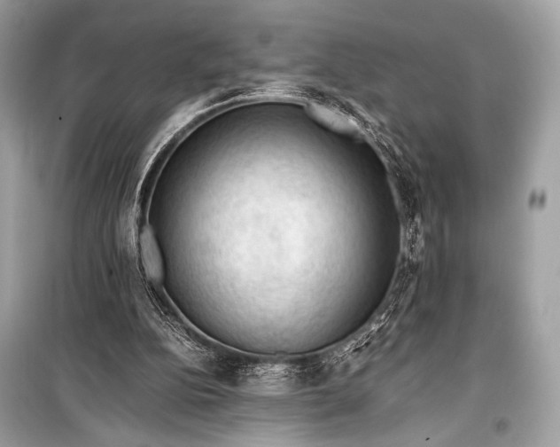 X0000099290152200805161333