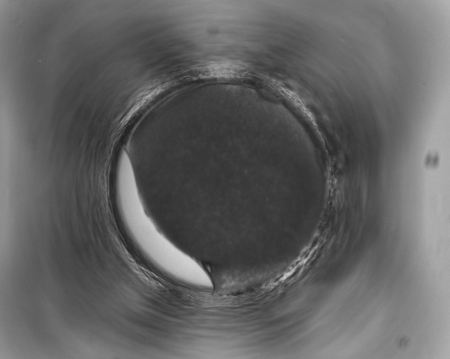 X0000099290154200805161333