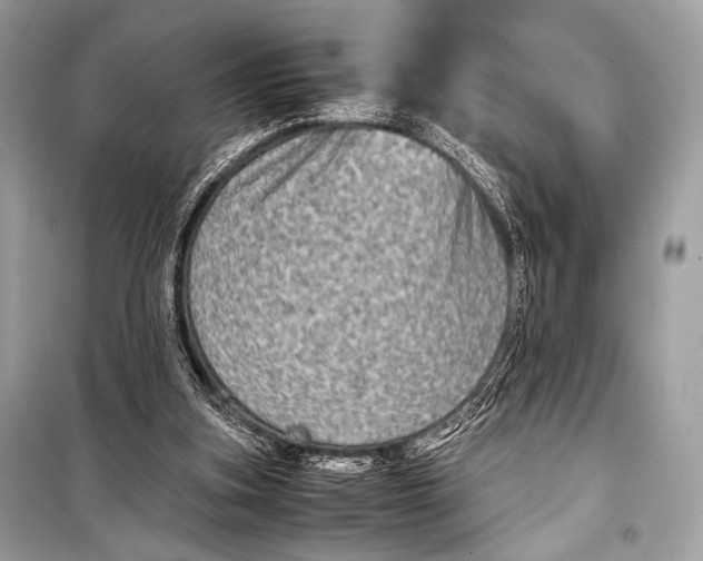 X0000099290155200805161333