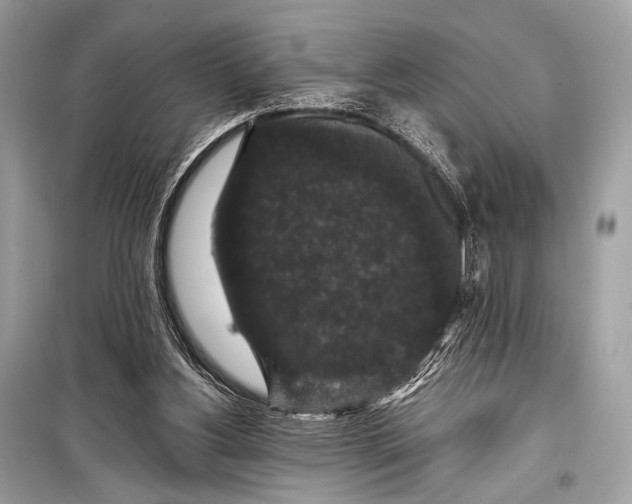 X0000099290156200805161333