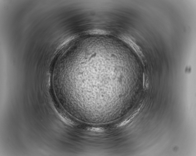 X0000099290157200805161333