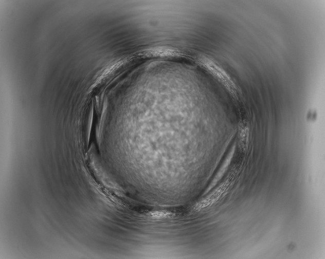 X0000099290158200805161333