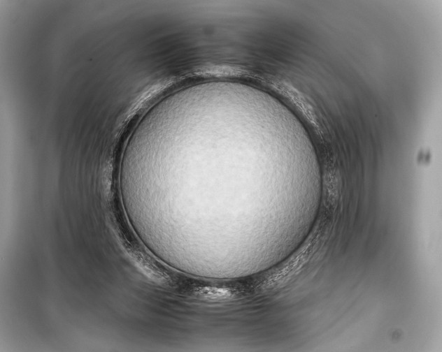 X0000099290159200805161333