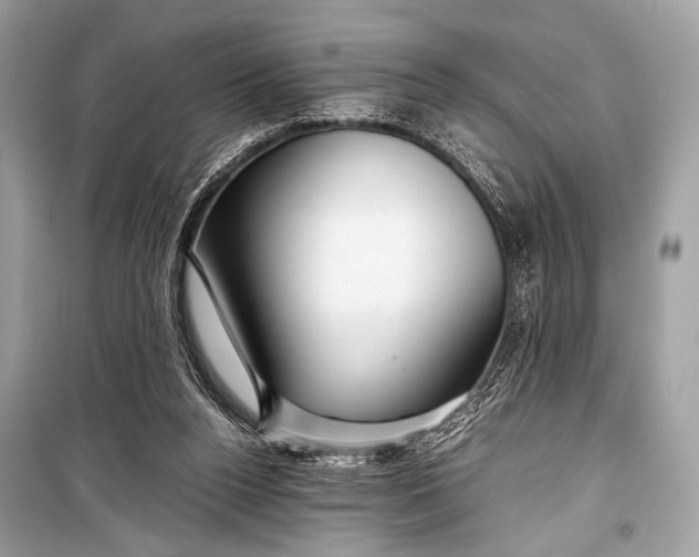 X0000099290160200805161333