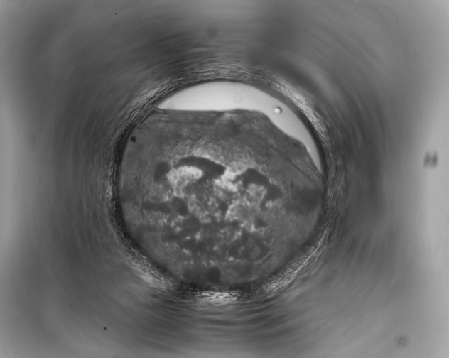 X0000099290161200805161334