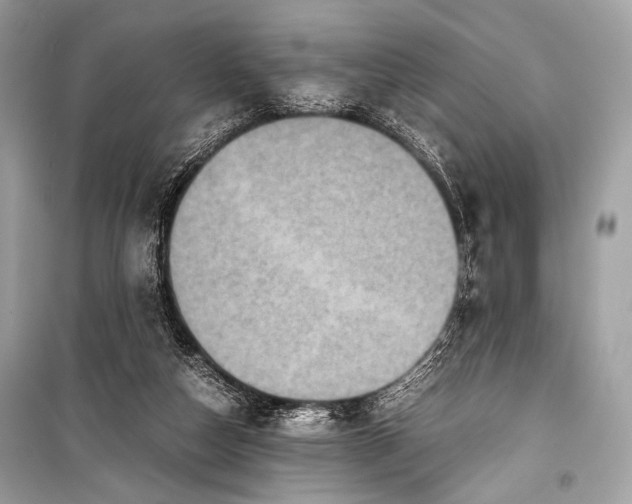 X0000099290162200805161334