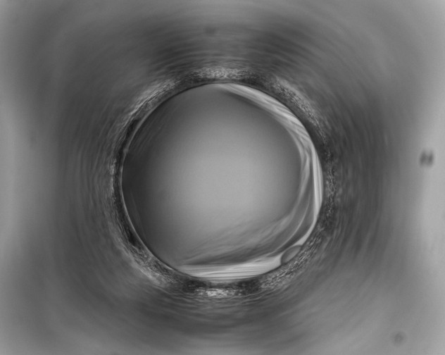 X0000099290163200805161334