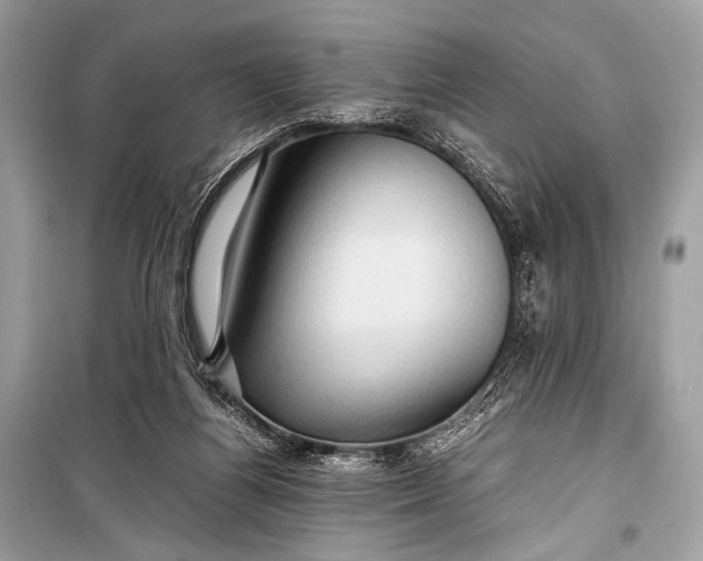 X0000099290164200805161334