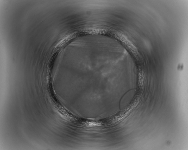 X0000099290165200805161334