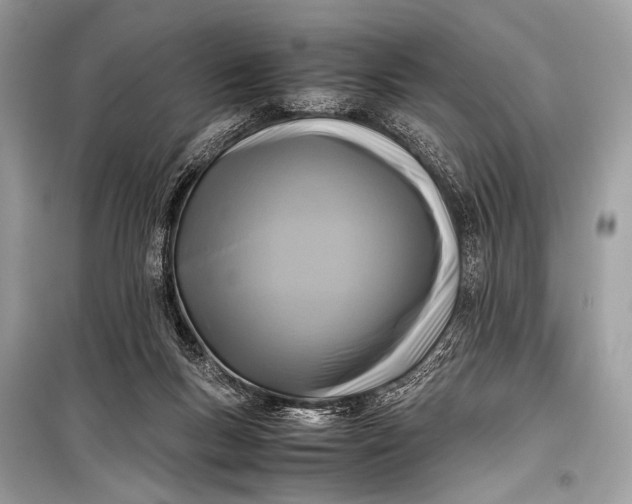 X0000099290167200805161334