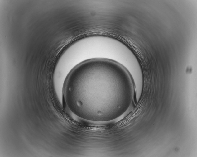 X0000099290168200805161334