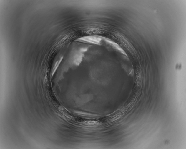 X0000099290169200805161334