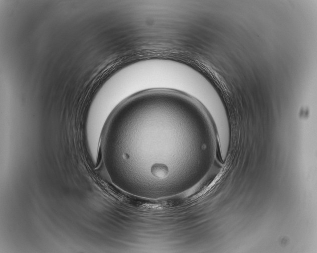 X0000099290170200805161334