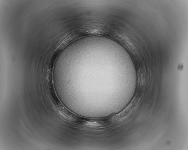 X0000099290171200805161334