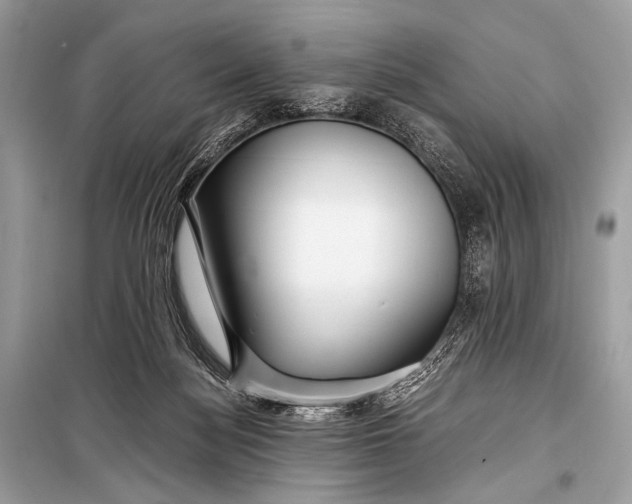 X0000099290172200805161334