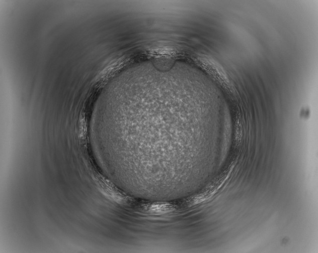 X0000099290173200805161334