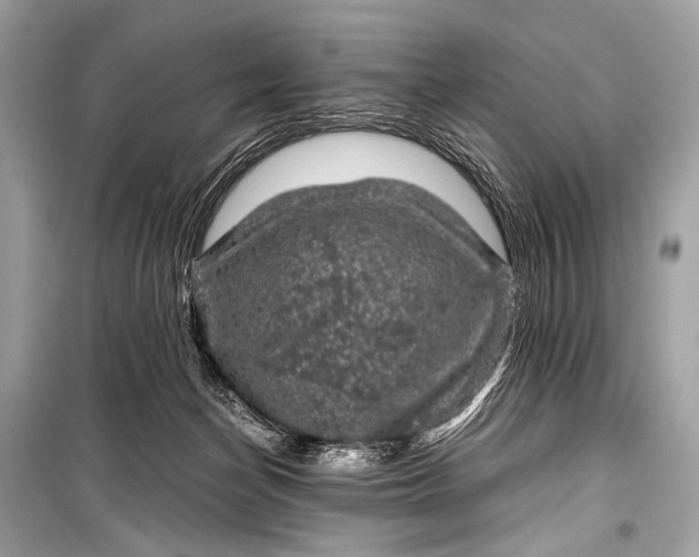 X0000099290174200805161334