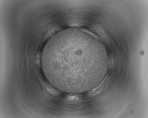 X0000099290175200805161334