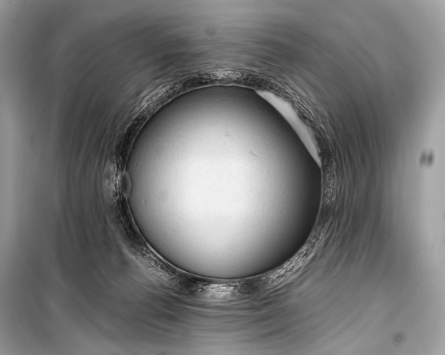 X0000099290176200805161334