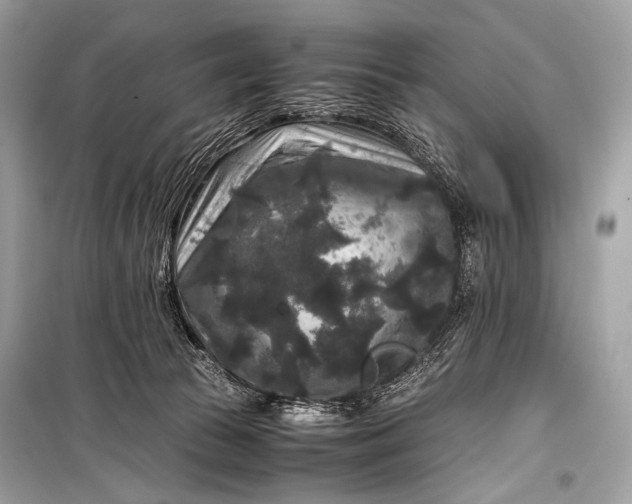 X0000099290177200805161334