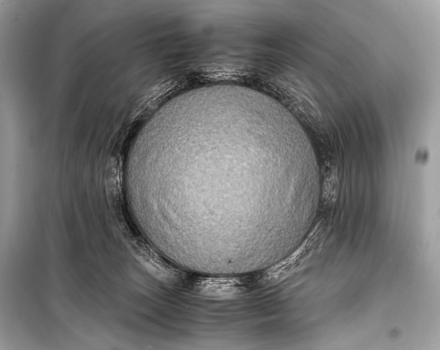 X0000099290179200805161334