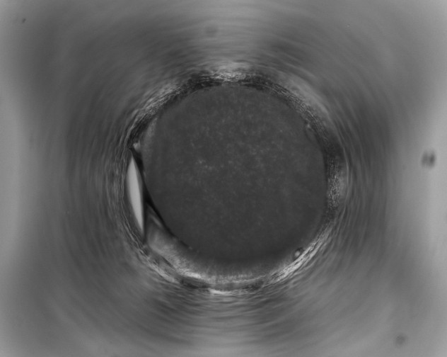 X0000099290180200805161334